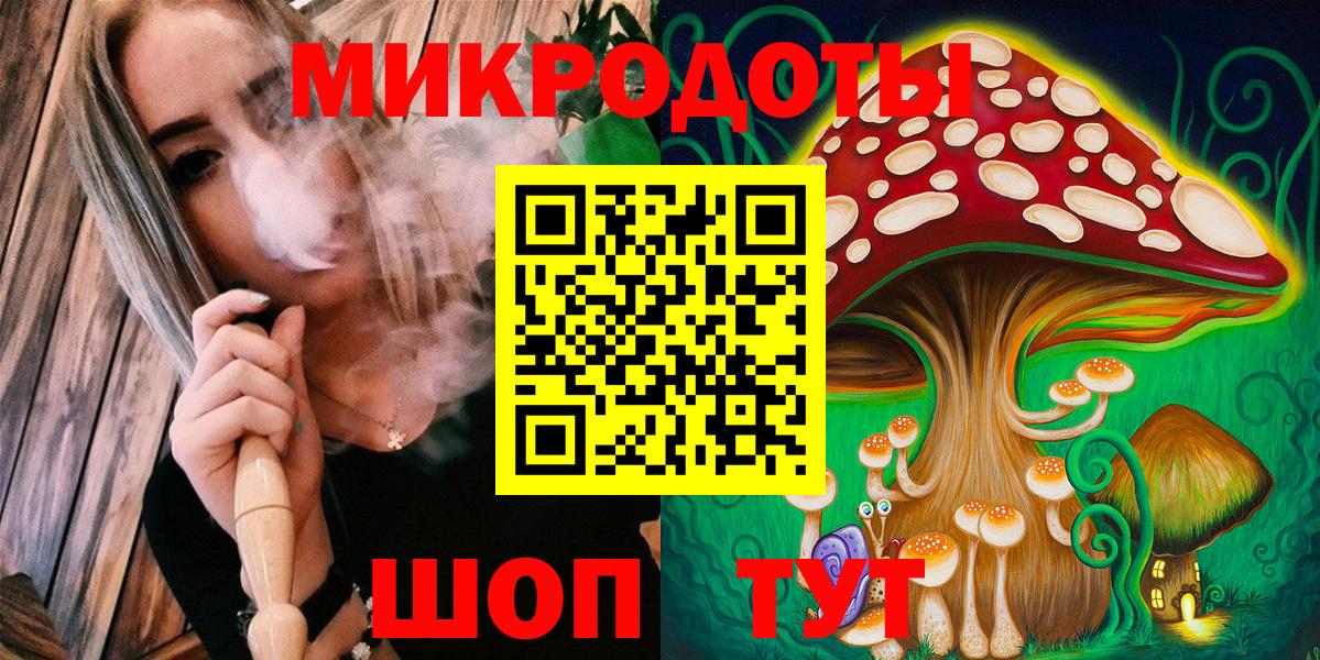 Галлюциногенные грибы Psilocybine cubensis Магадан